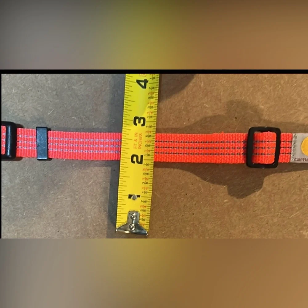 🐾 🐾 🧡LIKE NEW🧡BRIGHT HUNTER ORANGE DOG COLLAR 🐾🐾